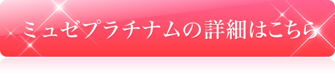 エルセーヌの詳細はこちら